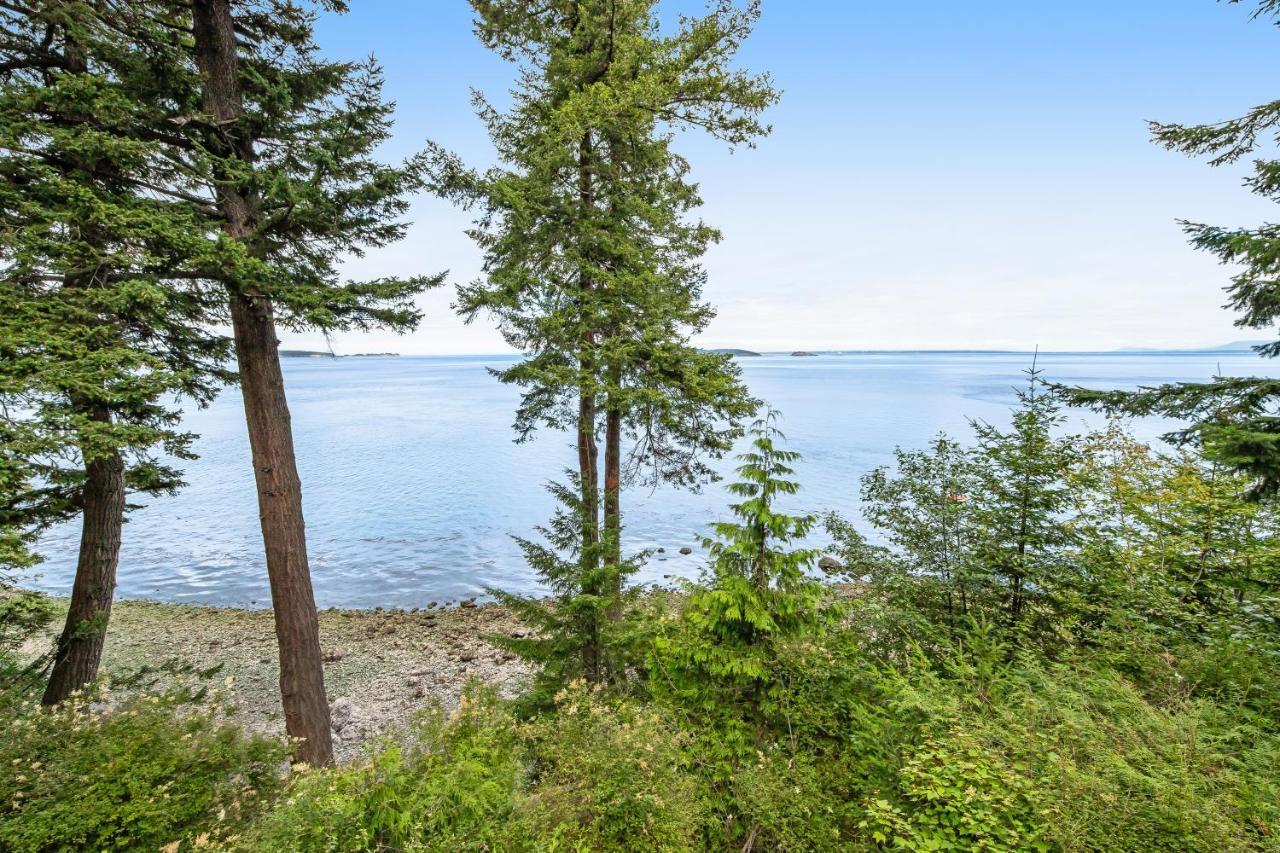 Pinecone Cabin Eastsound Экстерьер фото